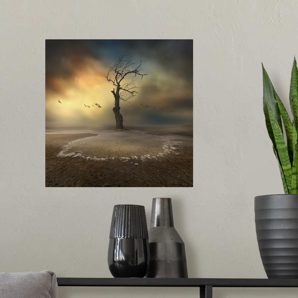 A modern room featuring Conceptual image of a tree with bare branches in a dry landscape with cloudy skies.