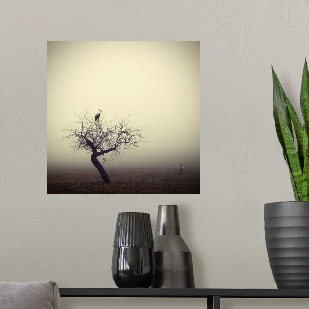 A modern room featuring A stork sits in a tree with bare branches with a sheep nearby, on a foggy morning.