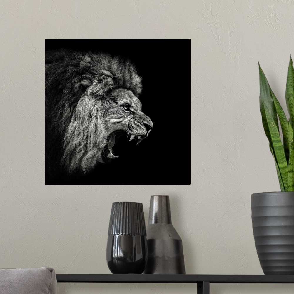 A modern room featuring Roaring Lion 2