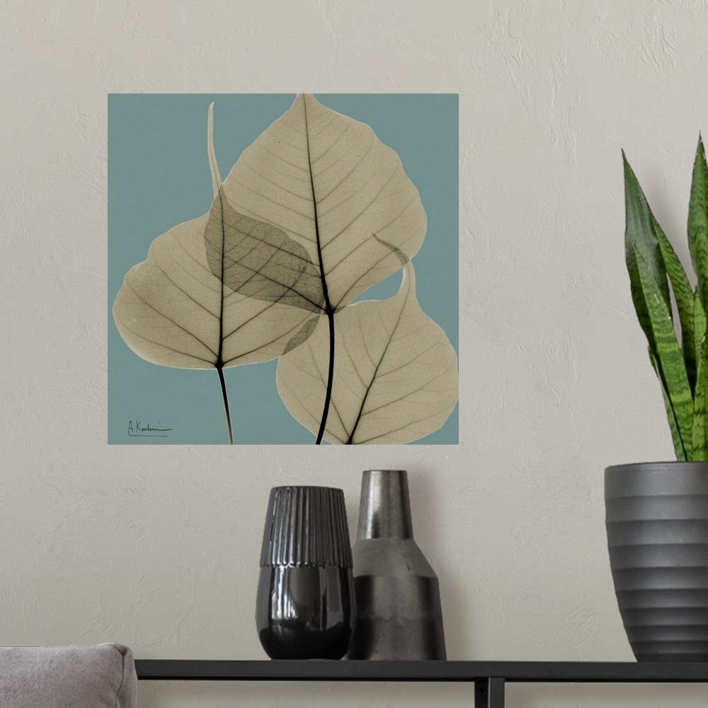 A modern room featuring Square x-ray photograph of a group of leaves on the end a tree branch, against a cool toned backg...