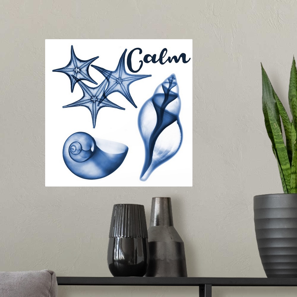 A modern room featuring Calm Sealife