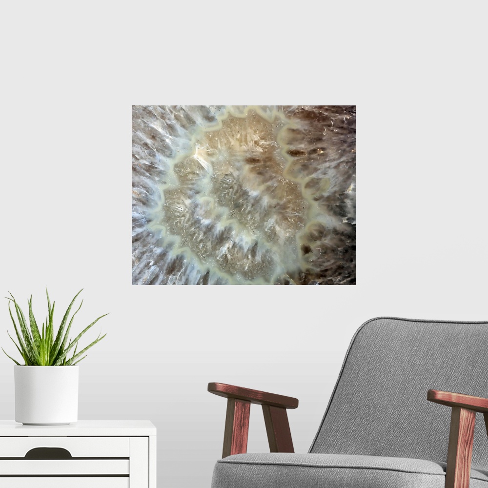 A modern room featuring Close up photo of a polished mineral, showing the natural patterns of the stone.