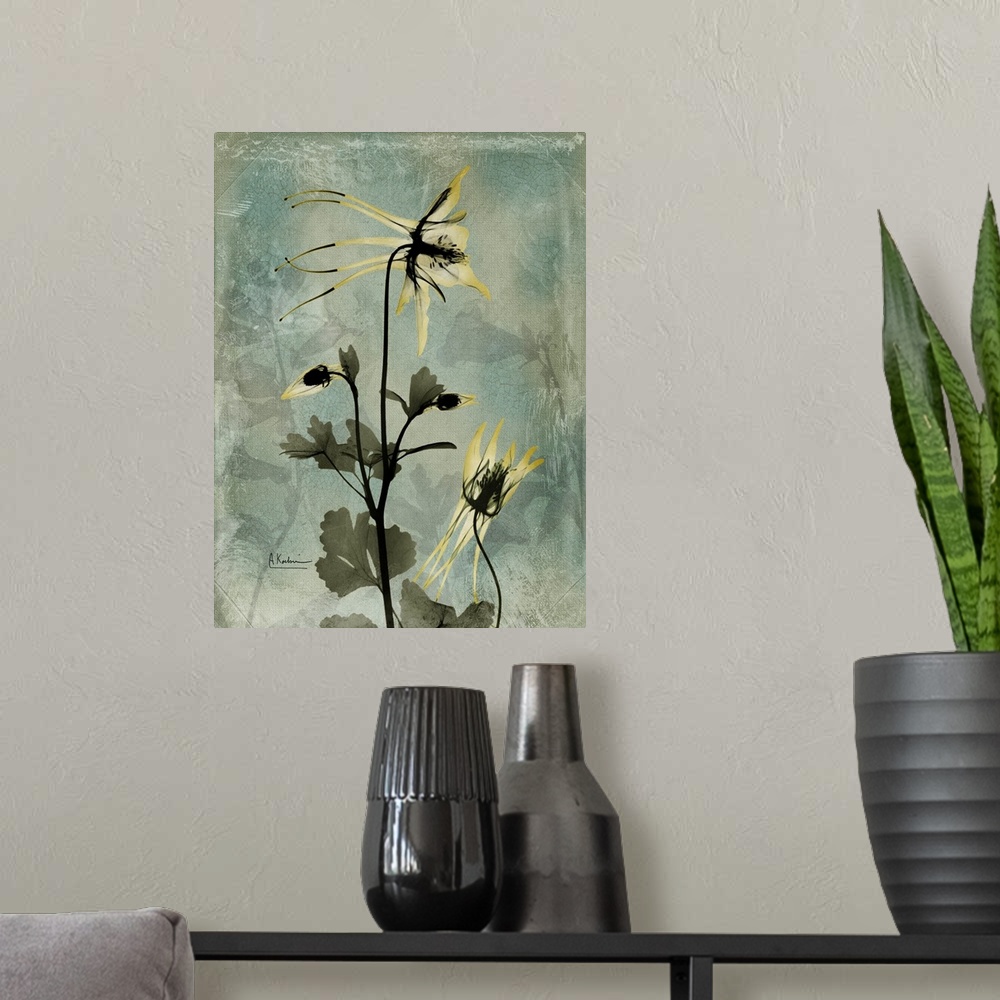 A modern room featuring Vertical x-ray photograph of columbine flowers. Against a cool tone background.