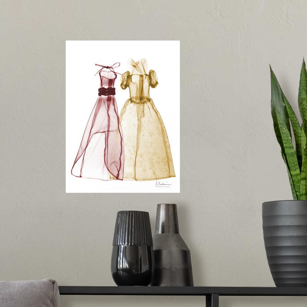 A modern room featuring Vertical x-ray photograph of two dresses, against a light background.