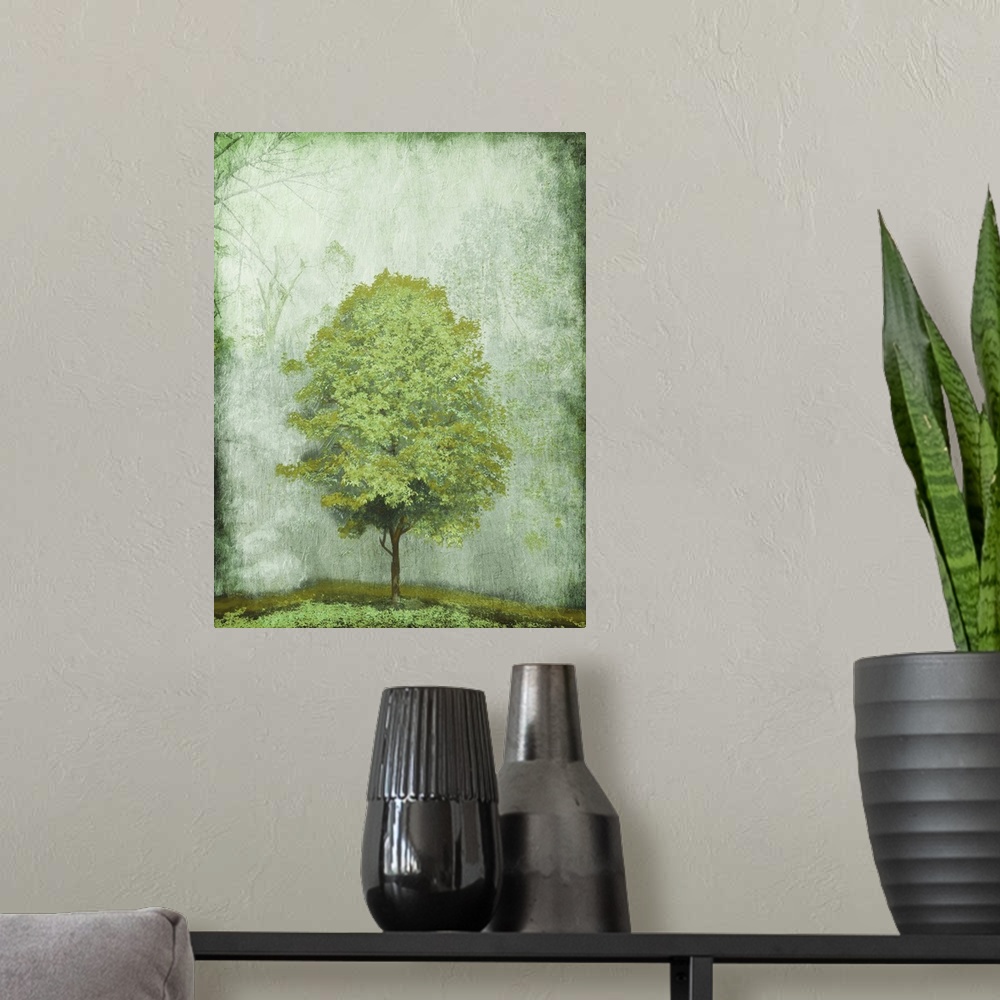 A modern room featuring Green Tree