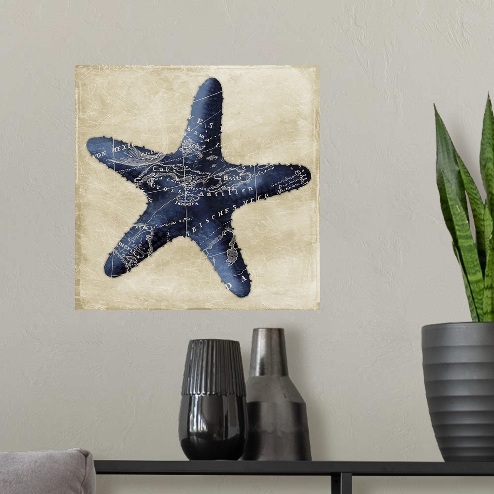 A modern room featuring Map Starfish, Indigo
