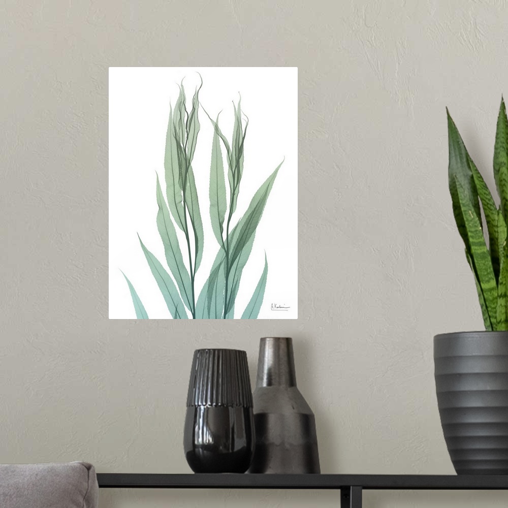 A modern room featuring X-ray style photo of overlapping bamboo leaves.