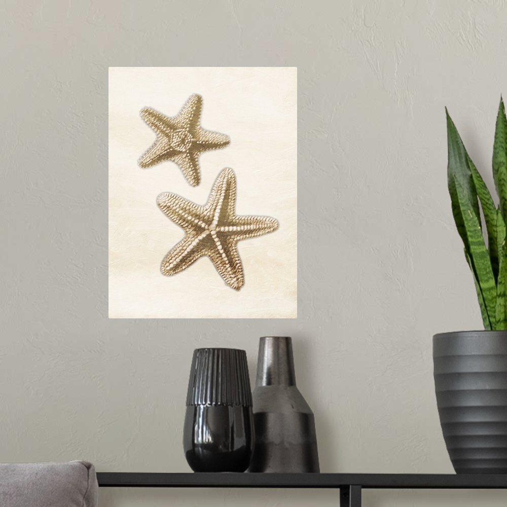 A modern room featuring Starfish Gold