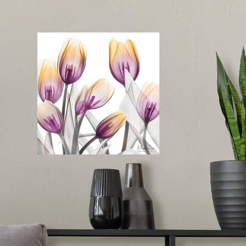 A modern room featuring Sunrise Tulips 1