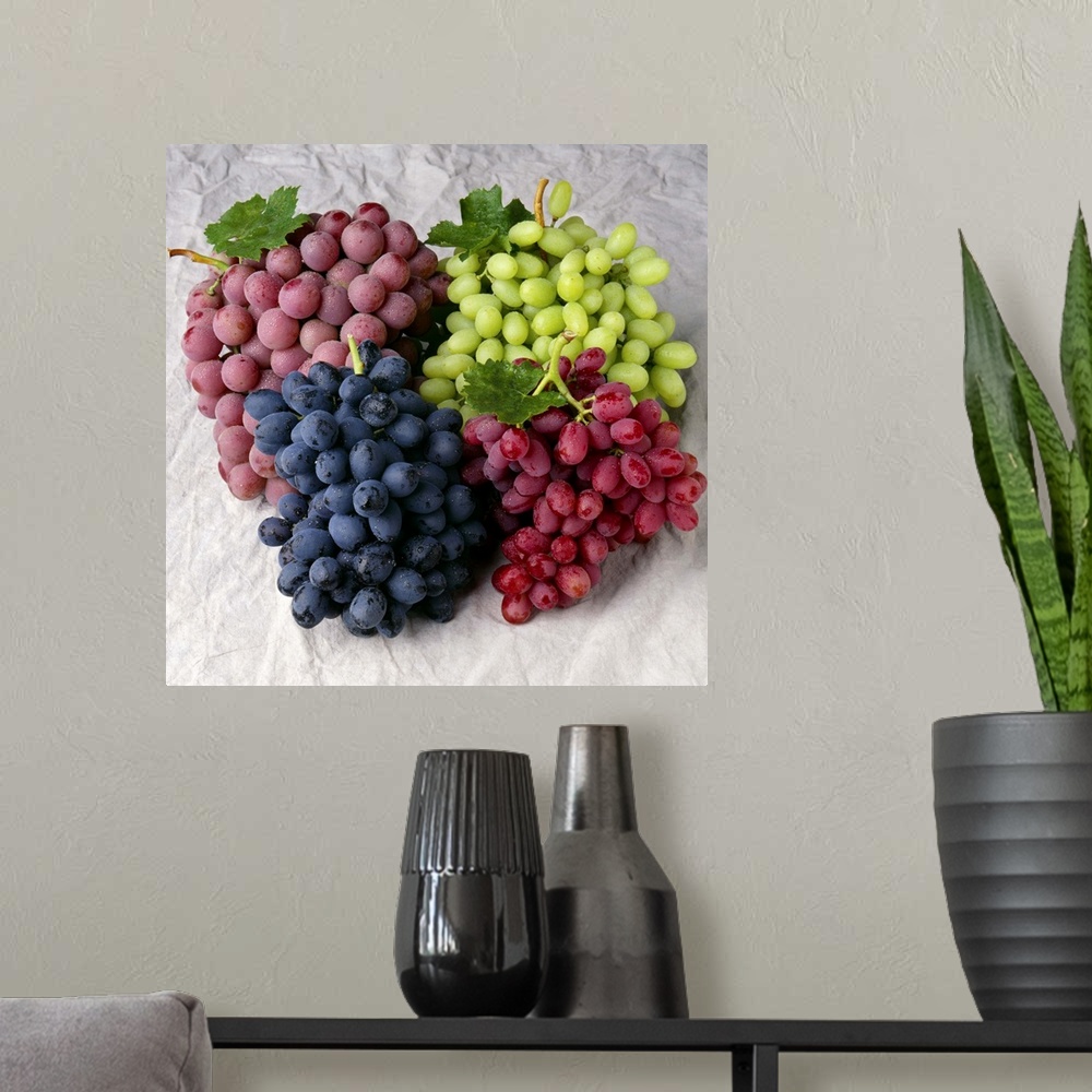 A modern room featuring Autumn Royal black grapes, Red Globe, Thompson Seedless and Crimson Seedless