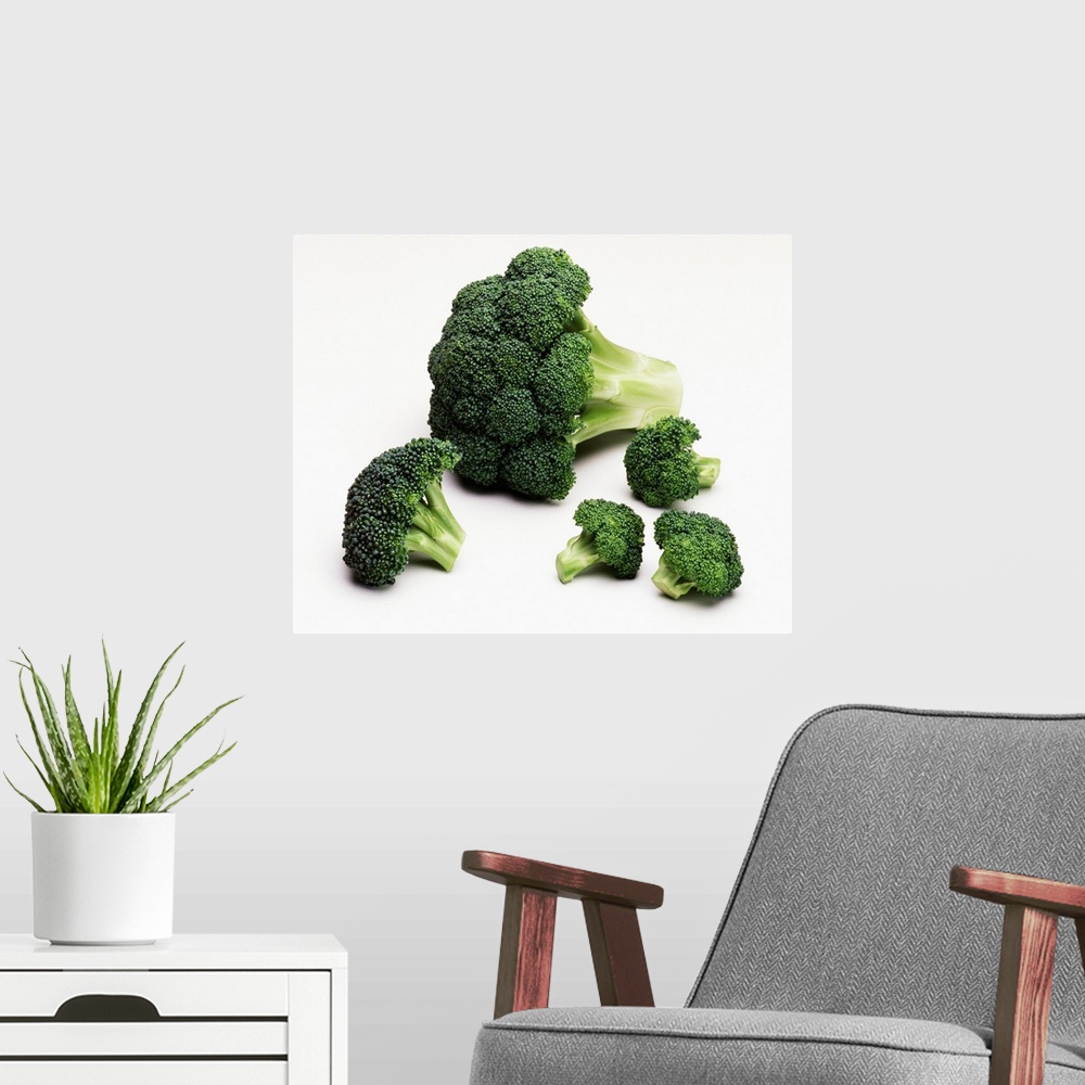 A modern room featuring Broccoli crown, and large and small florets