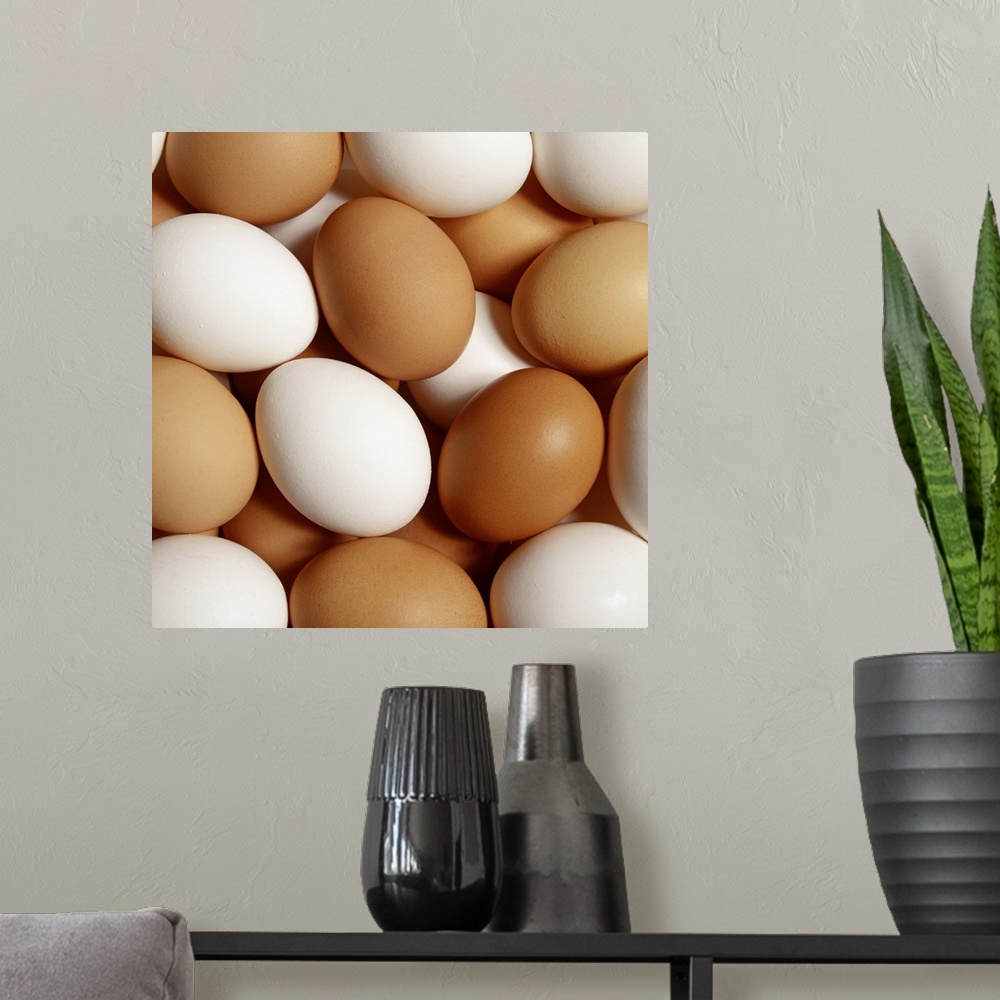 A modern room featuring Eggs