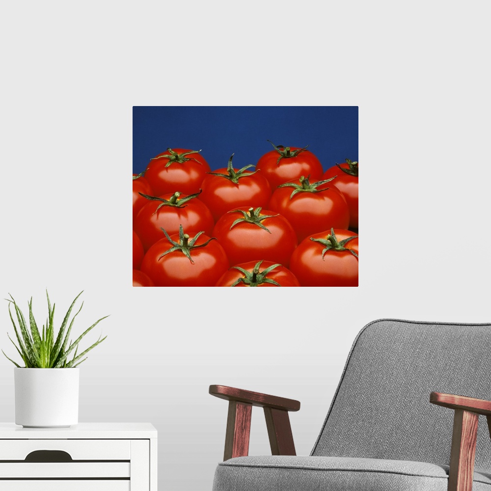 A modern room featuring Fresh market tomatoes