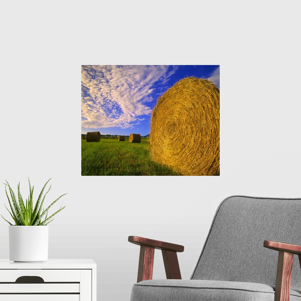 A modern room featuring Hay Bales In Field, Quebec, Canada