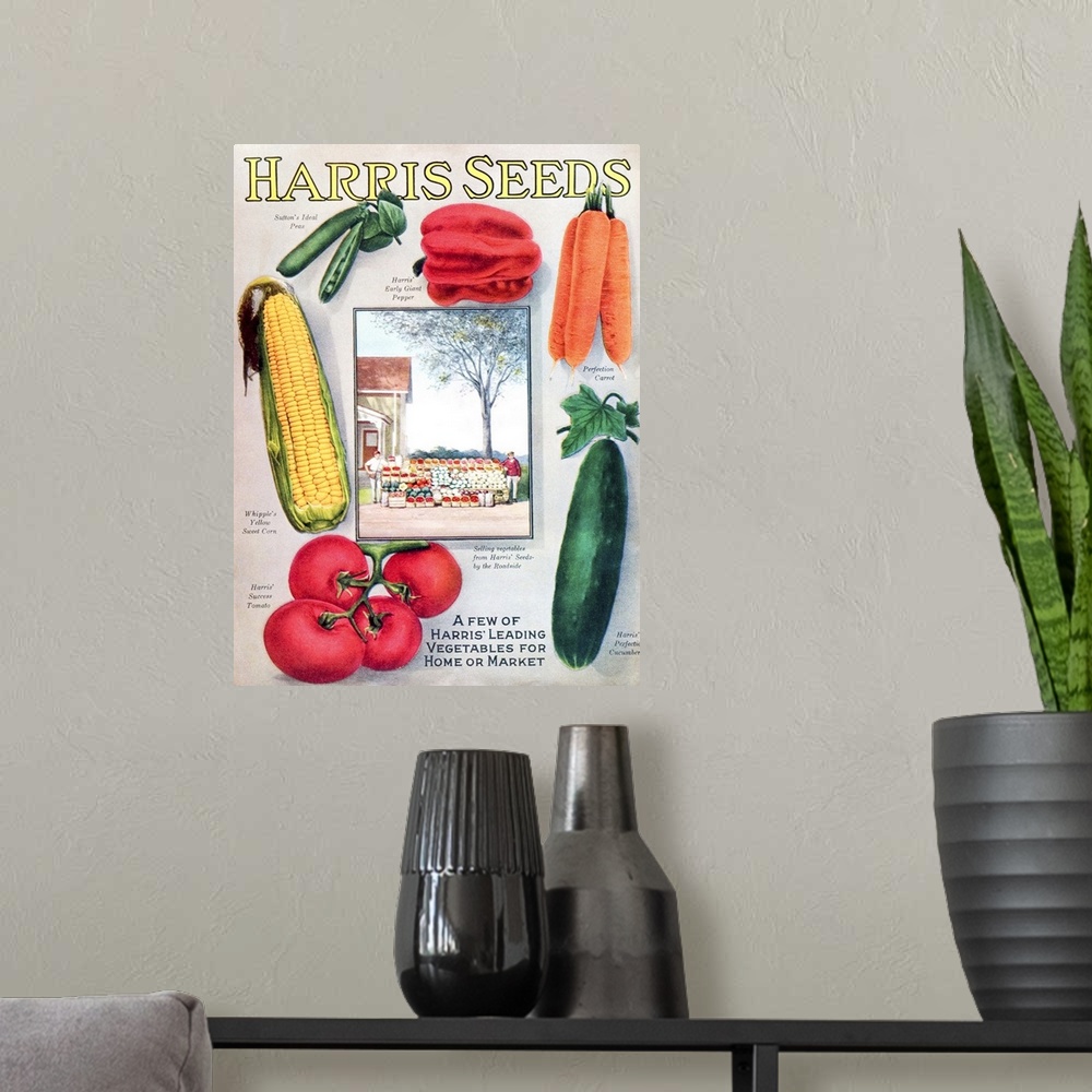 A modern room featuring Historic Harris seeds catalog with illustration of vegetables from 20th century