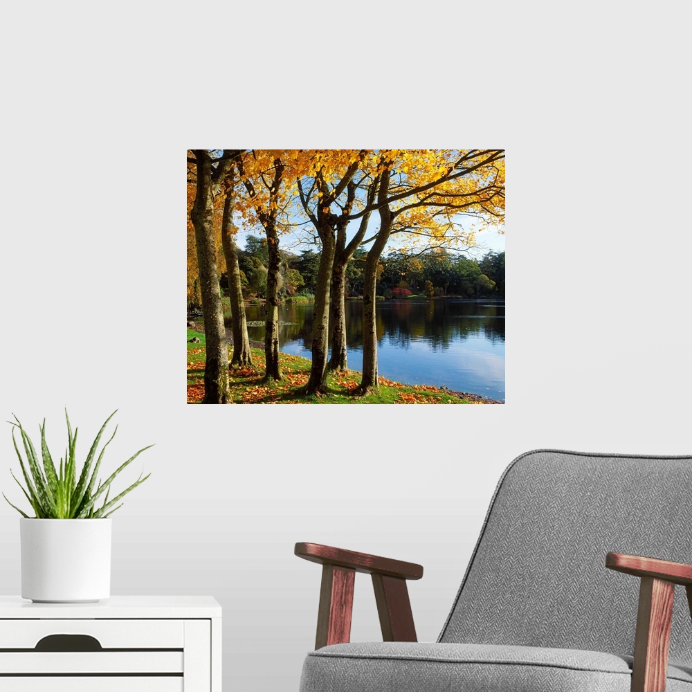 A modern room featuring Lake And Trees, Mount Stewart, County Down, Ireland