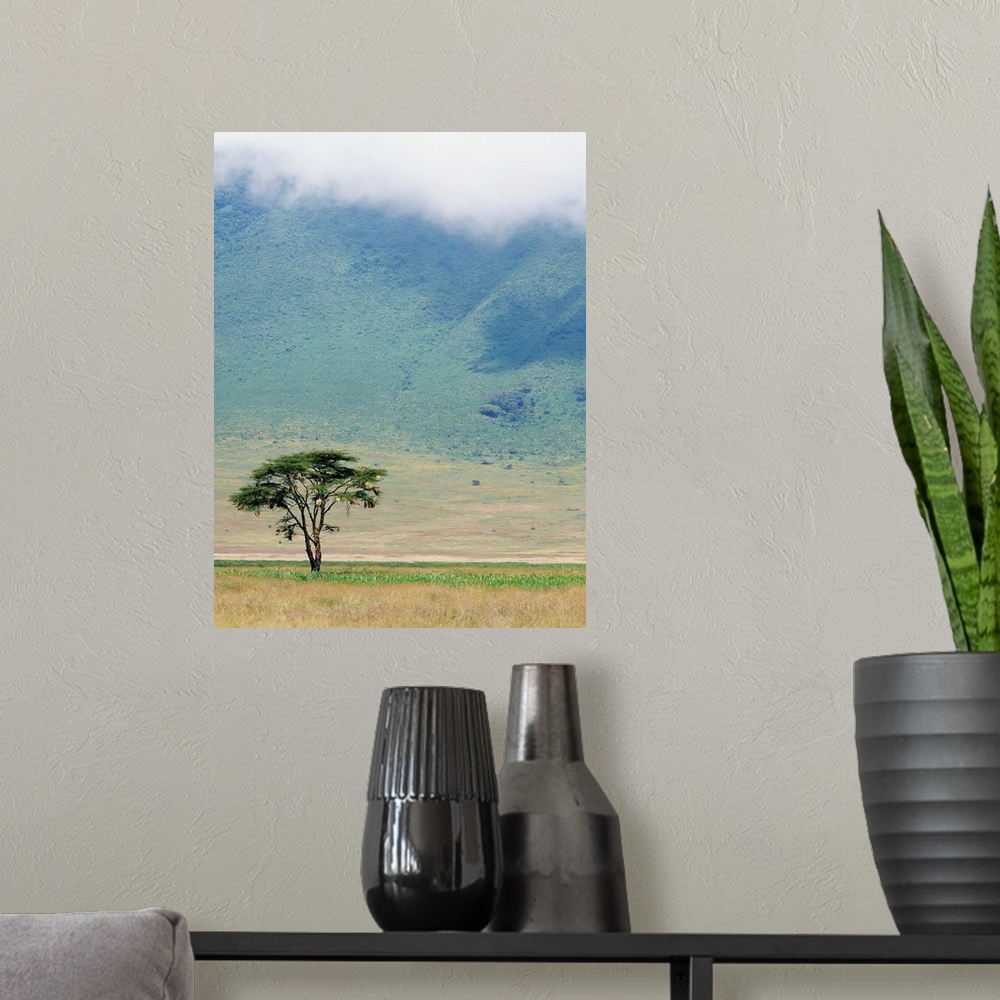 A modern room featuring Ngorongoro Crater