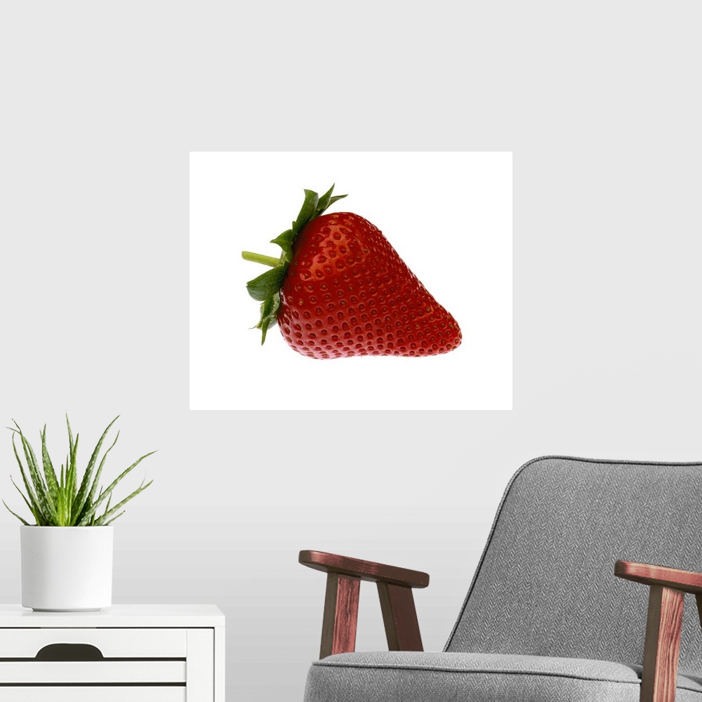 A modern room featuring Single Strawberry