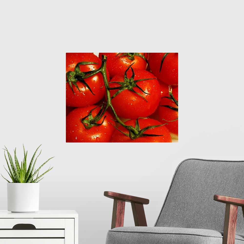 A modern room featuring Up close view of a bunch of tomatoes on the vine printed on canvas.