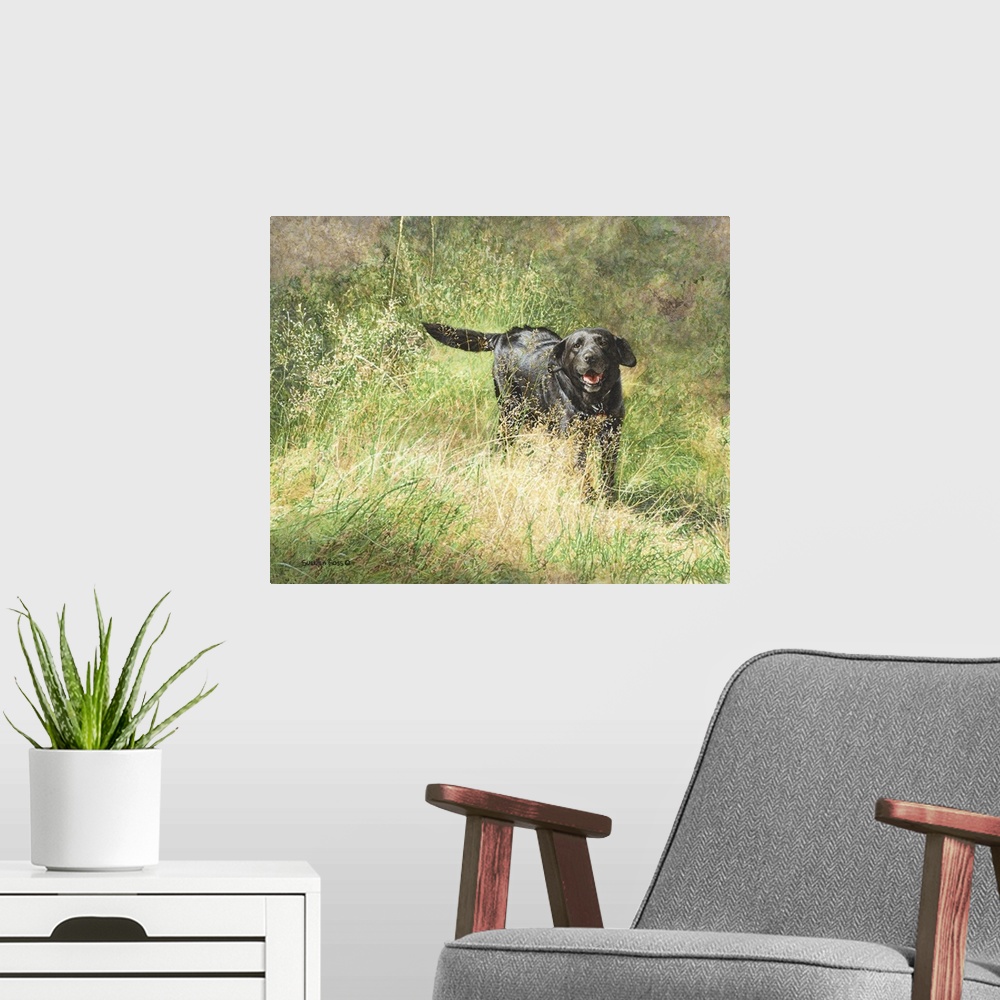 A modern room featuring A lively black lab playing in a field.