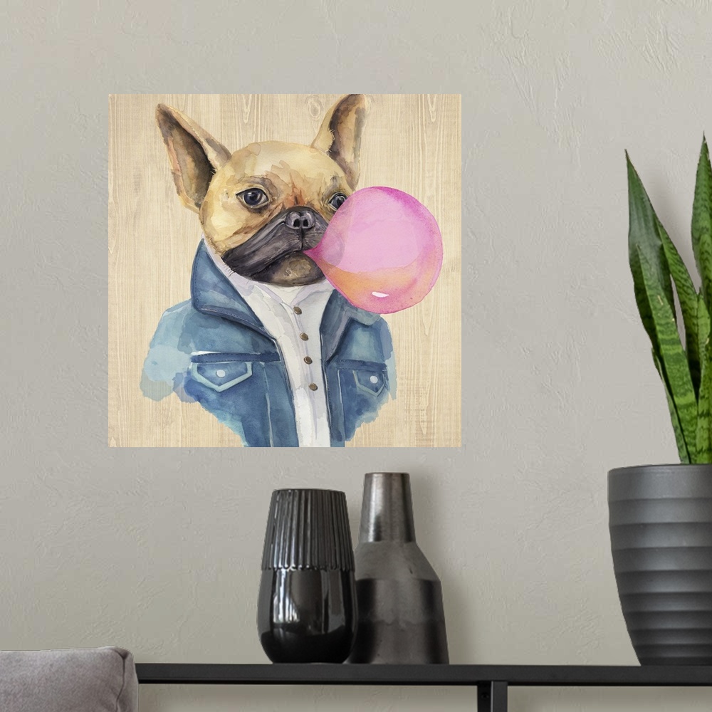 A modern room featuring Humorous illustration of a French bulldog in a jean jacket blowing bubblegum.