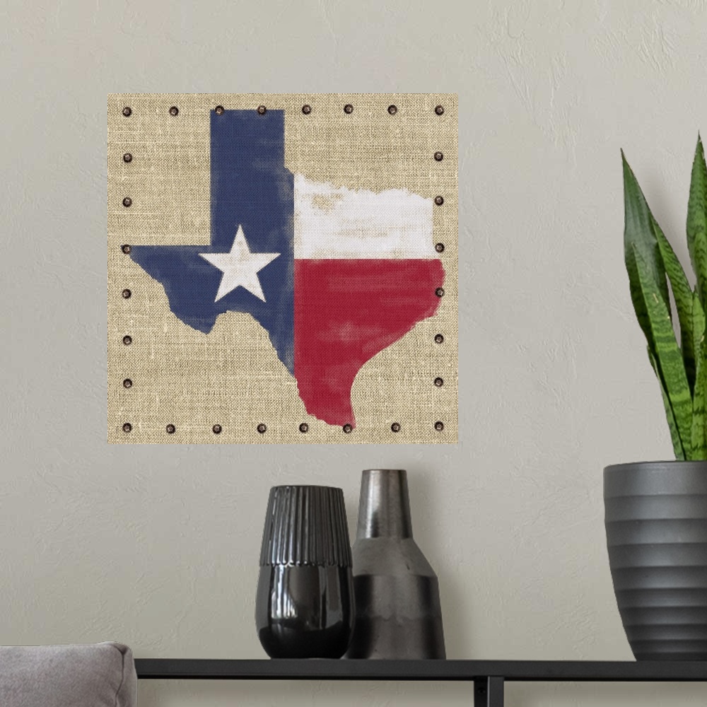 A modern room featuring Lone Star State