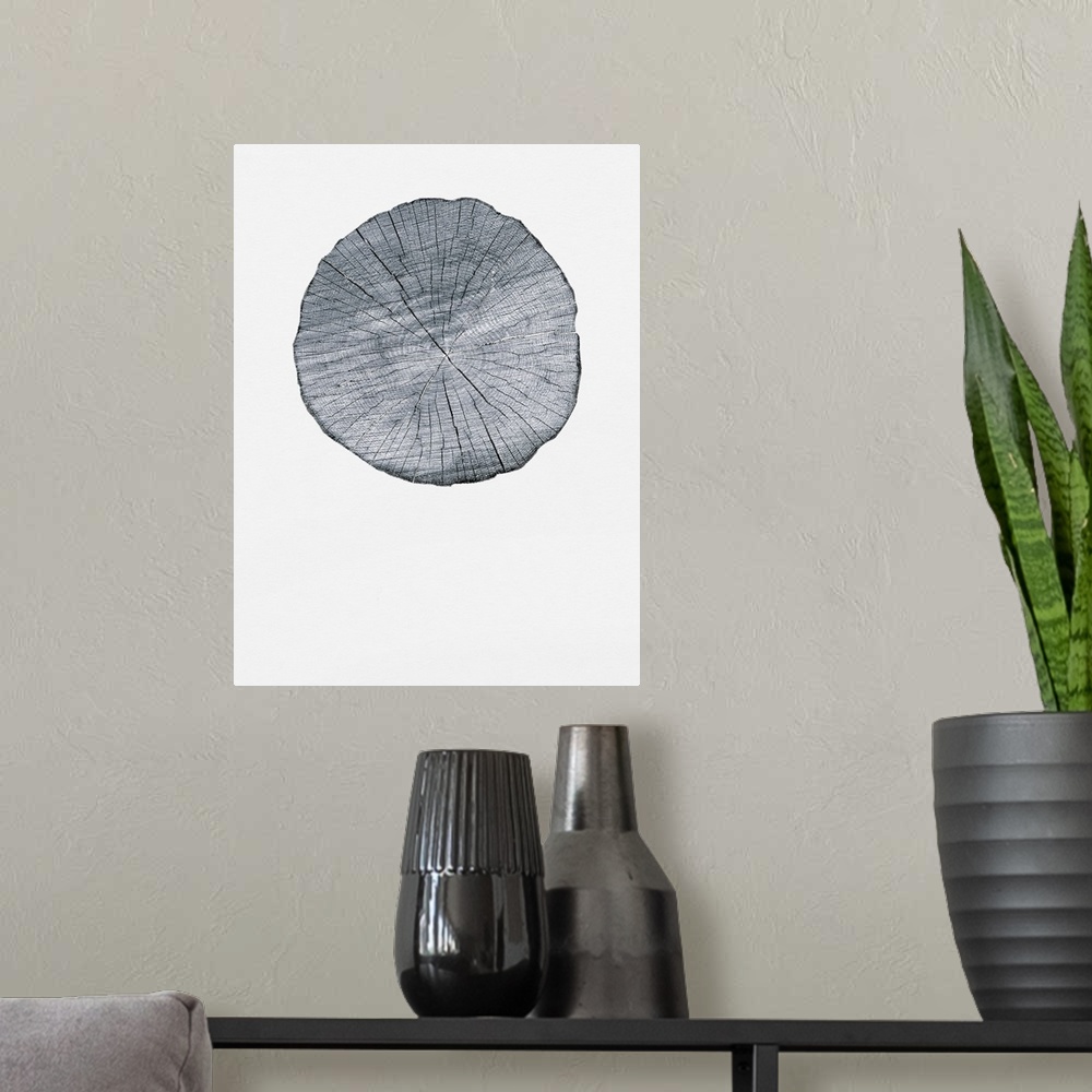 A modern room featuring Old Growth Ring Print