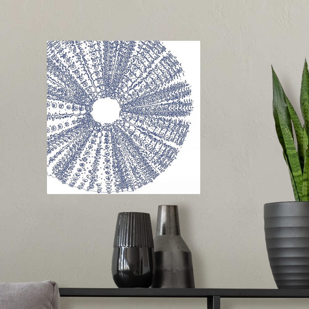 A modern room featuring Beach themed home decor artwork of a blue sea urchin shell against a white background.