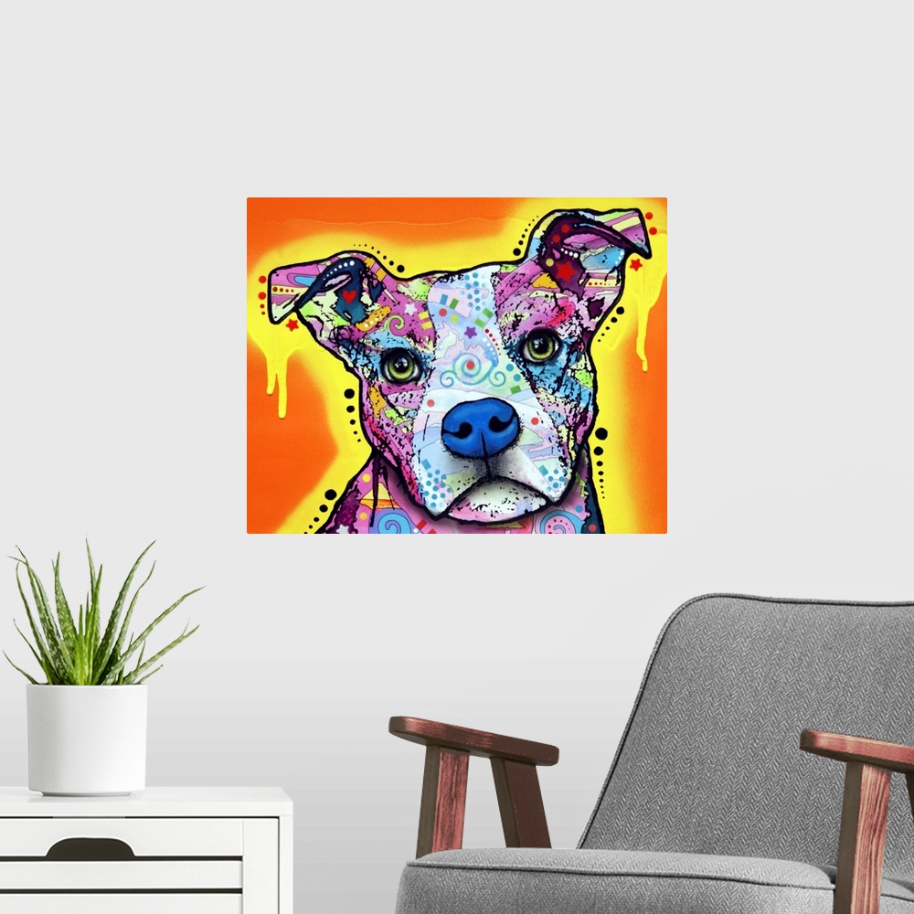 A modern room featuring Pit bull, dog, many colors