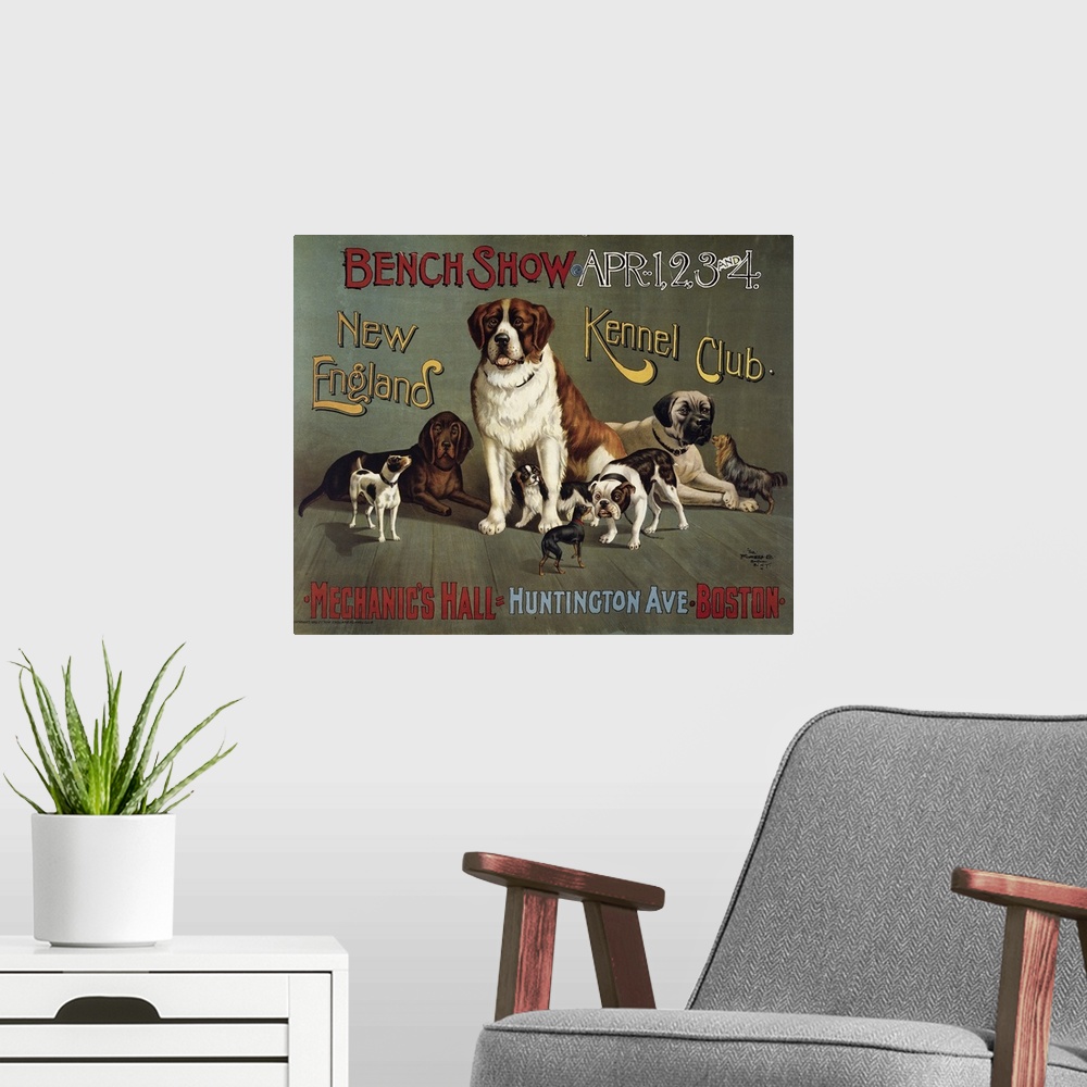 A modern room featuring Bench Show. New England Kennel Club