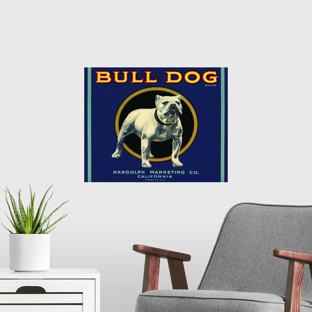 A modern room featuring Bull Dog Brand