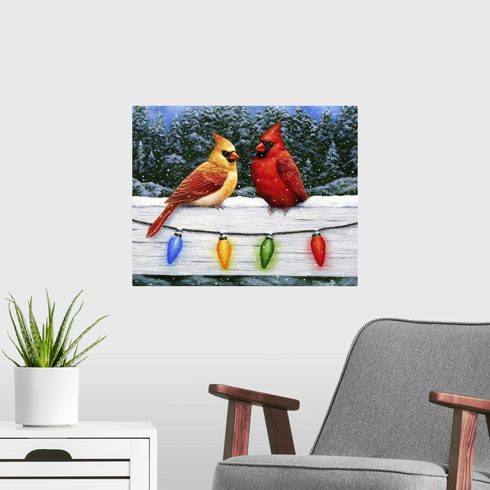A modern room featuring A pair of cardinals on a fence with Christmas lights.