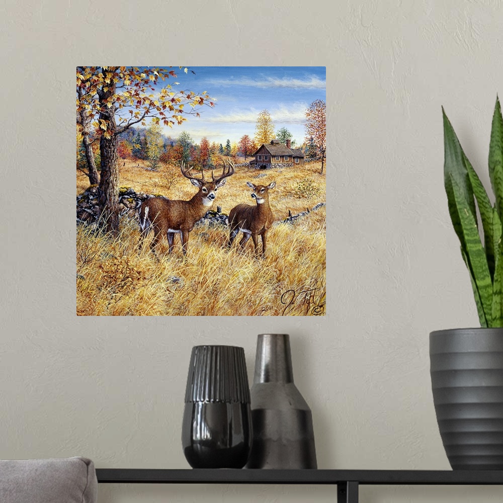 A modern room featuring 2 deer in a field near a house in the Fall