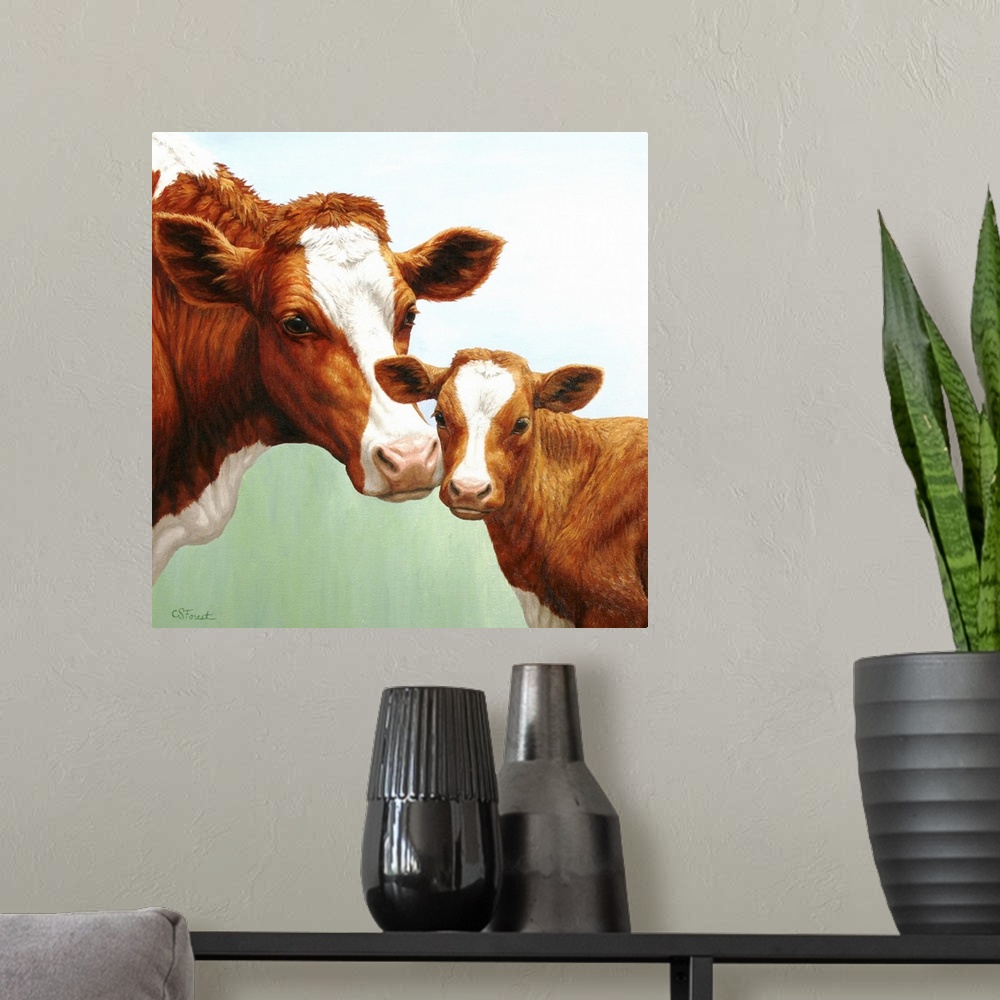 A modern room featuring A brown and white dairy cow and her calf.