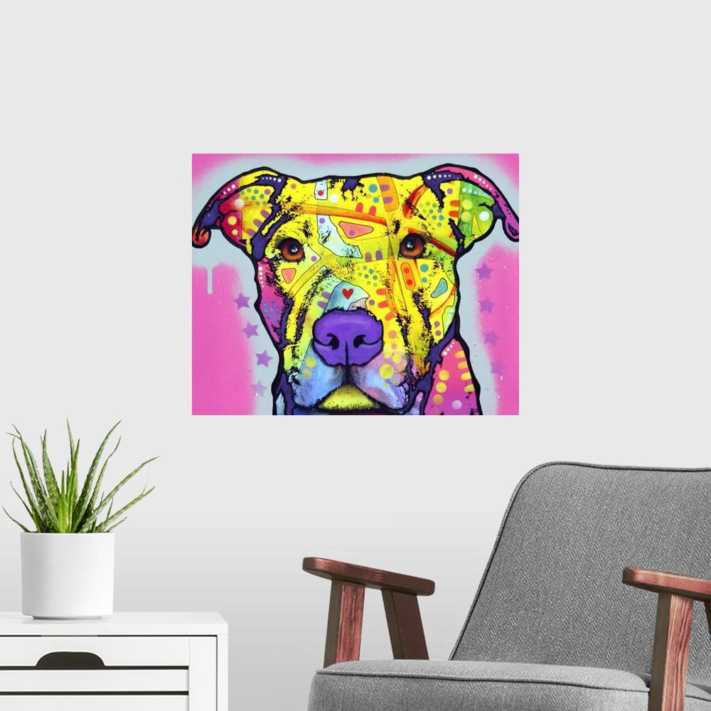 A modern room featuring Pit Bull, Dog