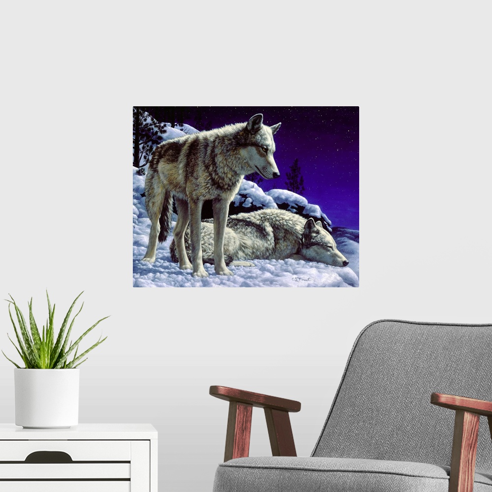 A modern room featuring Two wolves in the snow