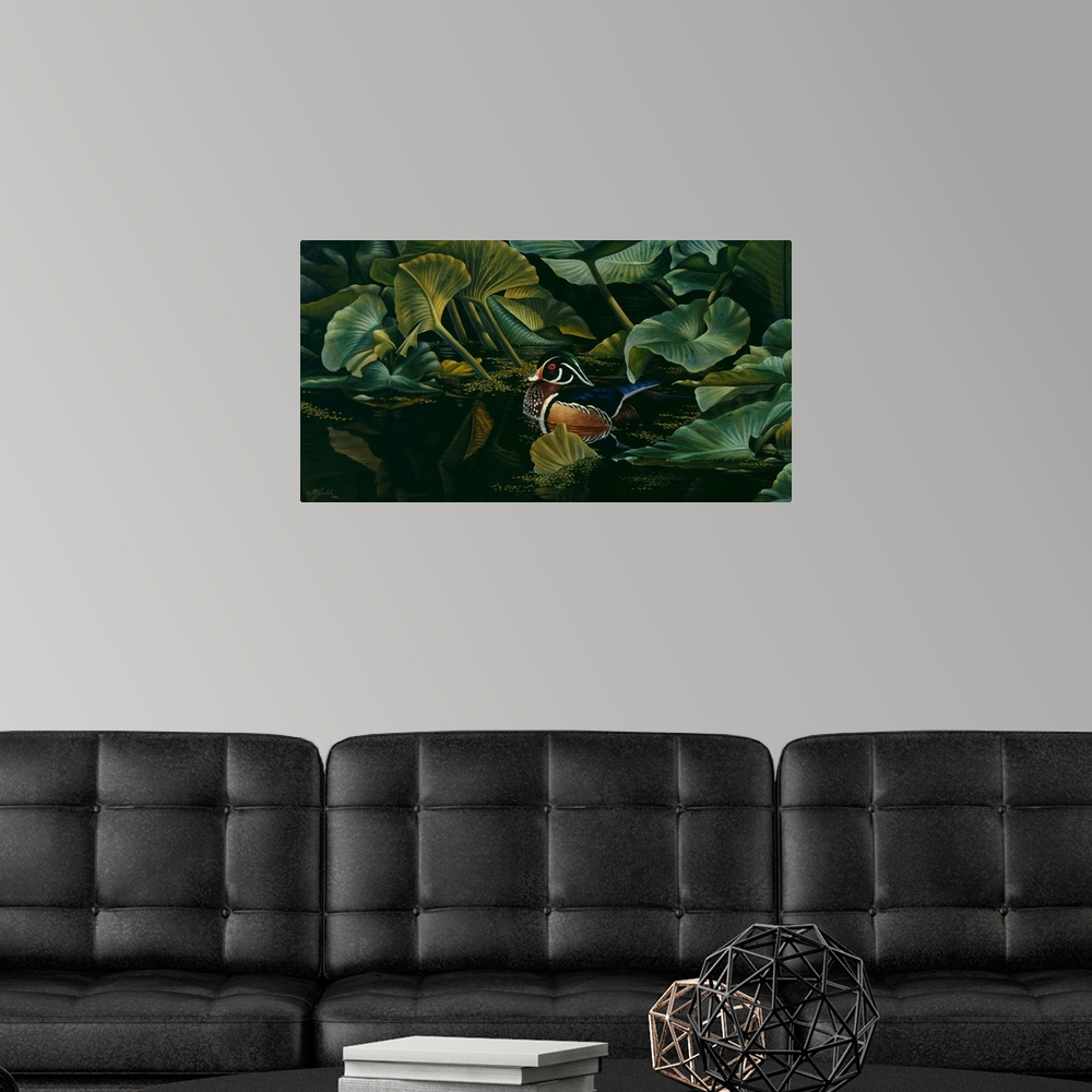 A modern room featuring Duck amongst the lily pads.