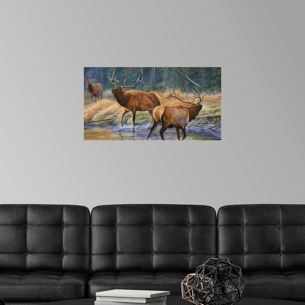 A modern room featuring two male elk challenging for female