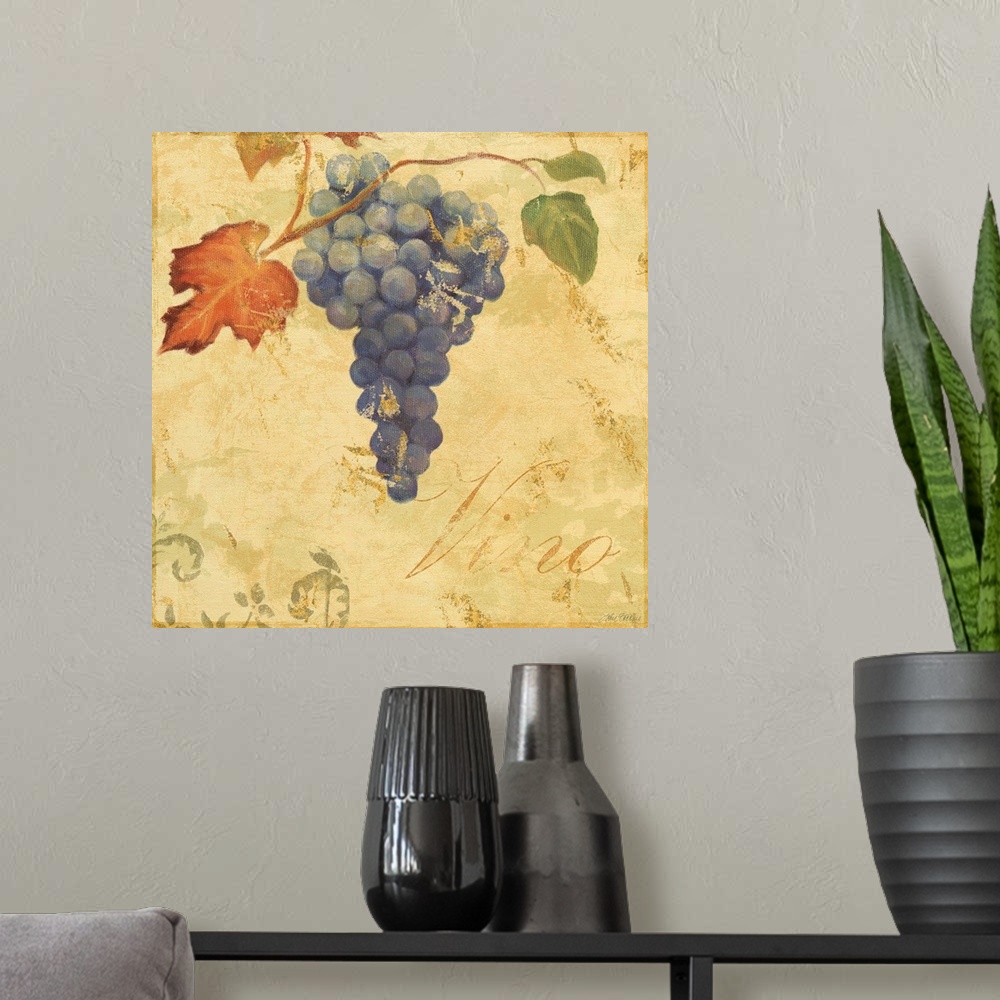 A modern room featuring grape vinewine, vino