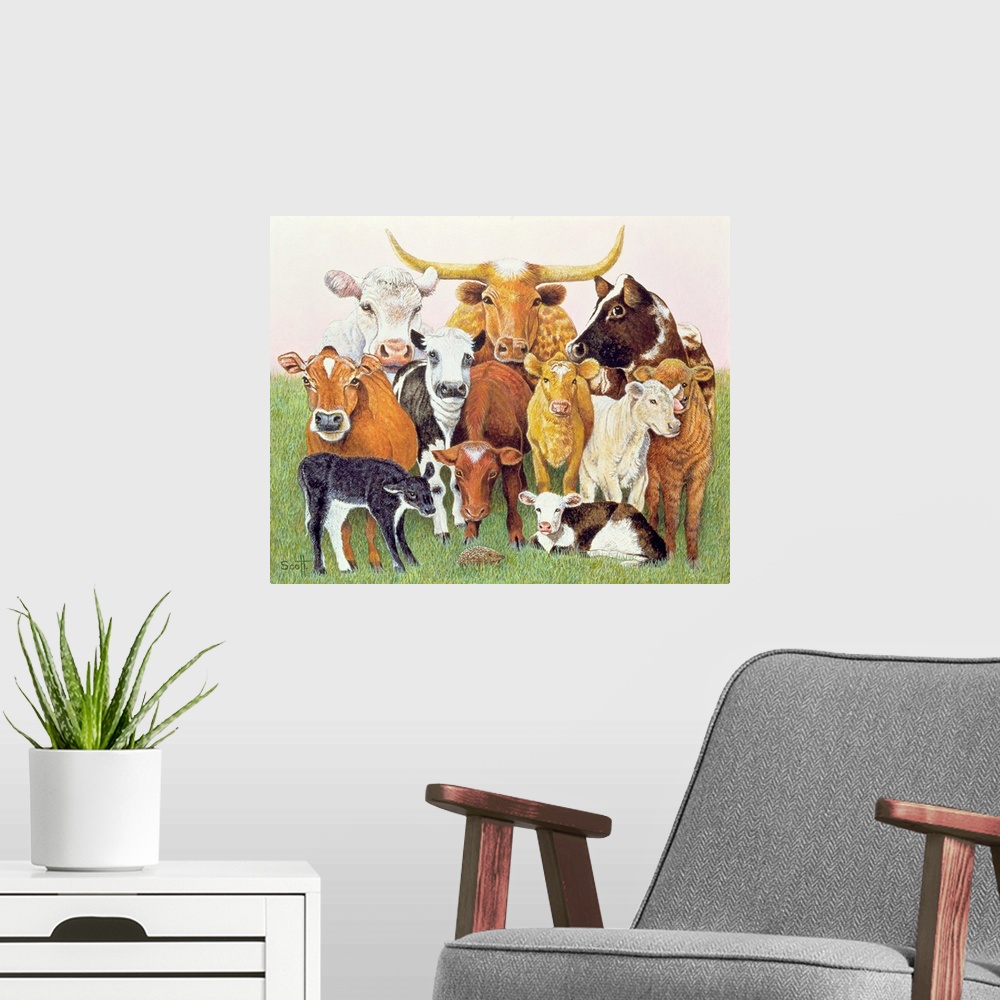 A modern room featuring Contemporary painting of several breeds of cattle.