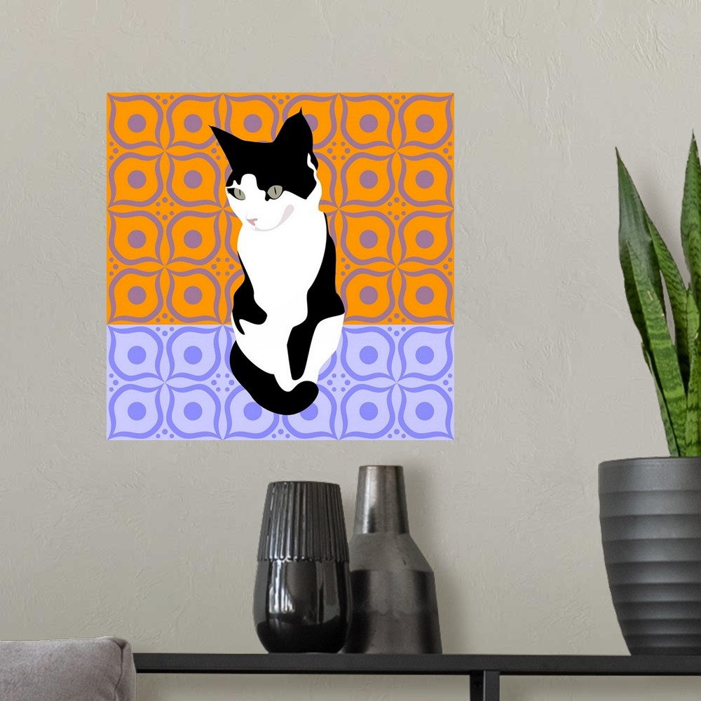 A modern room featuring Cat On Morrocan Tiles