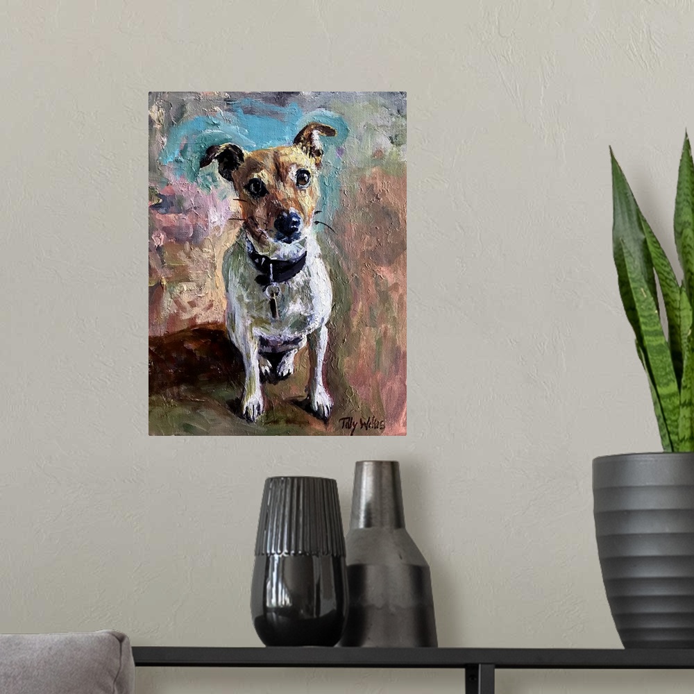 A modern room featuring Jack Russell, 2020