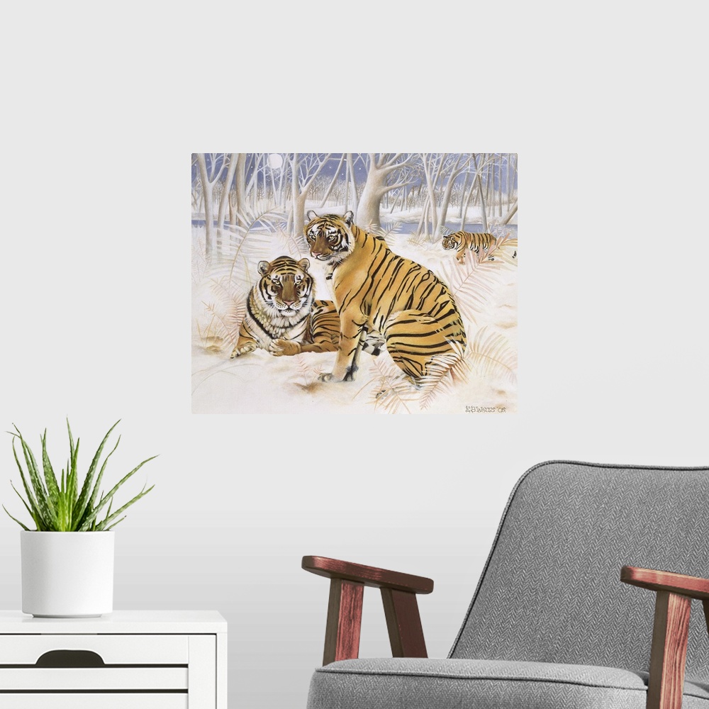 A modern room featuring Tigers