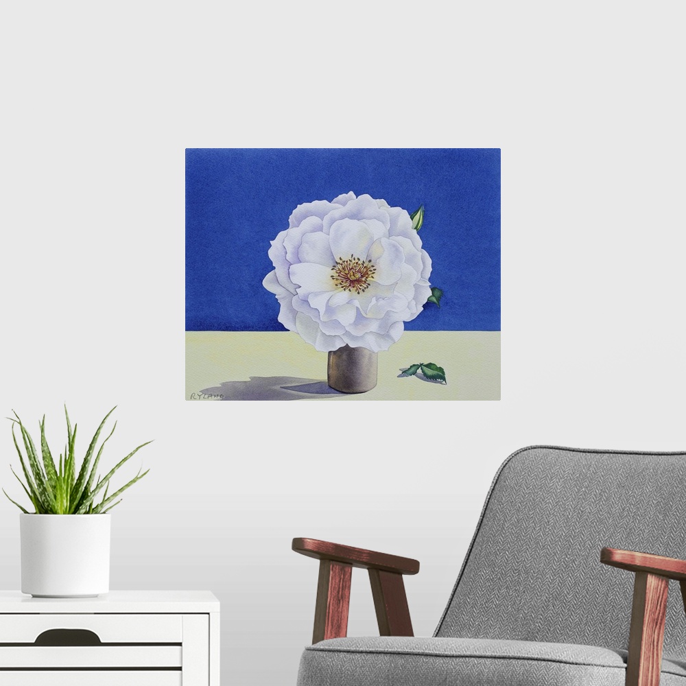 A modern room featuring White Rose by Ryland, Christopher