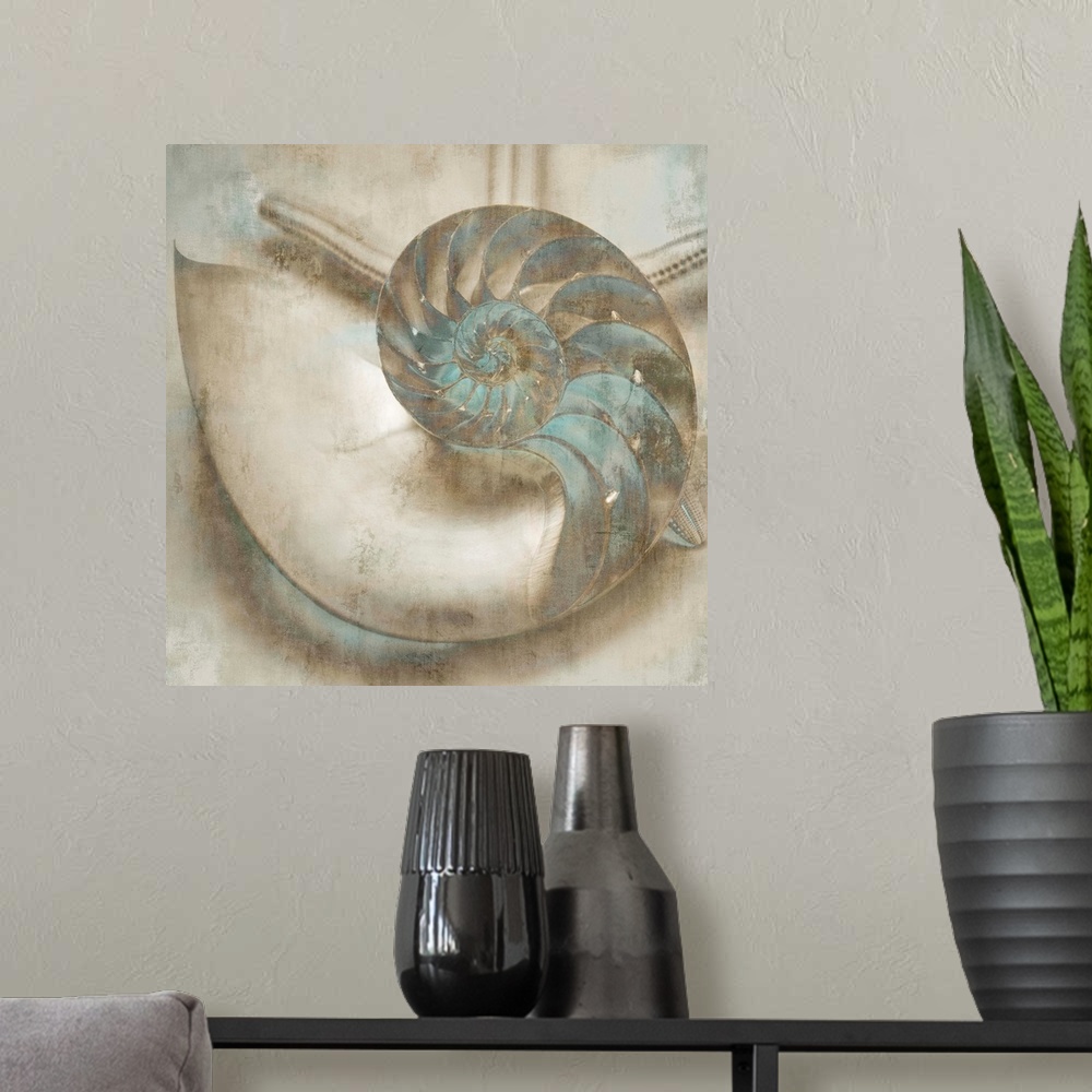 A modern room featuring Square decor with cream and tan seashells that have teal highlights.