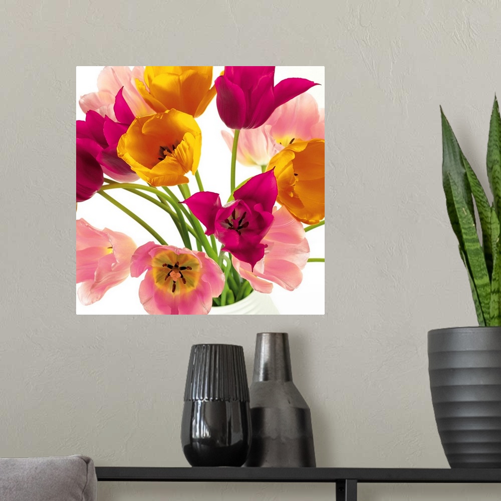 A modern room featuring Square photo of vibrant colored tulips in shades of pink, yellow and white.