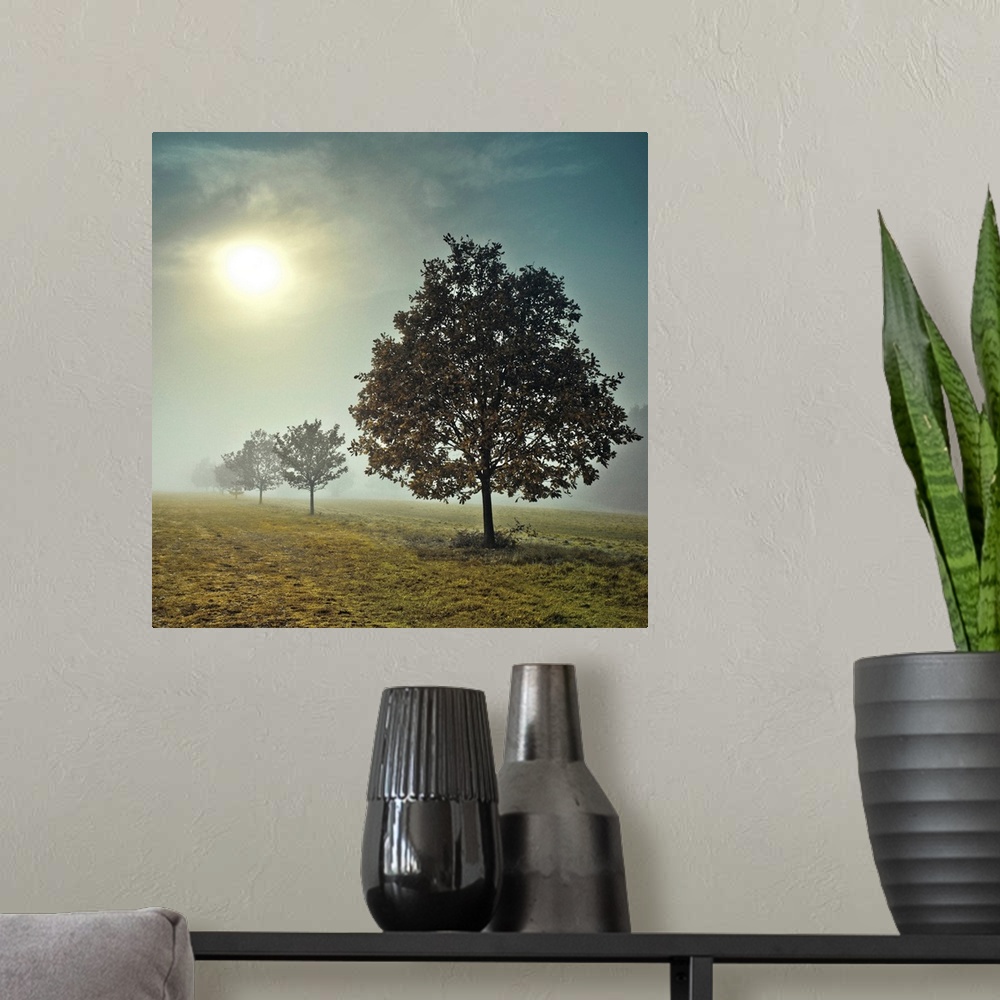 A modern room featuring A photograph of a row of trees in a field on a fogging morning.