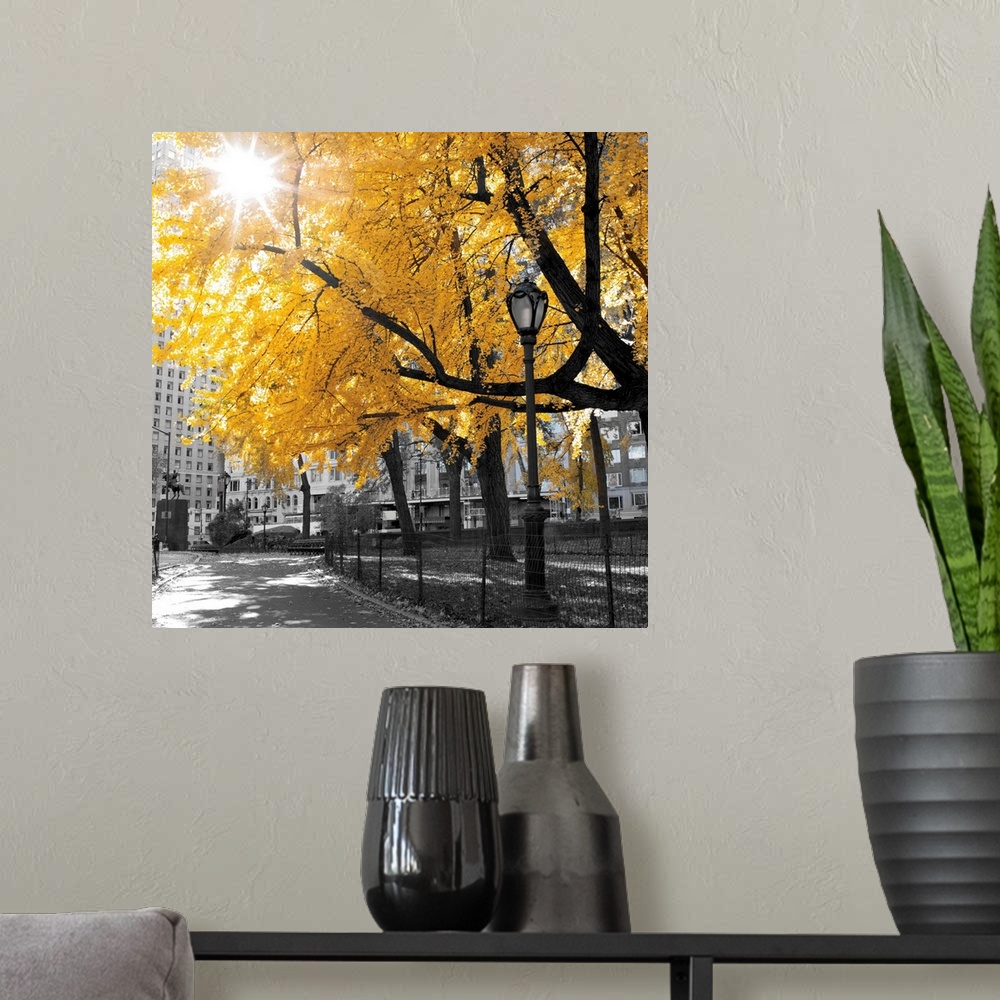 A modern room featuring A square image of a path through a wooded park where the image is in black and white while the tr...