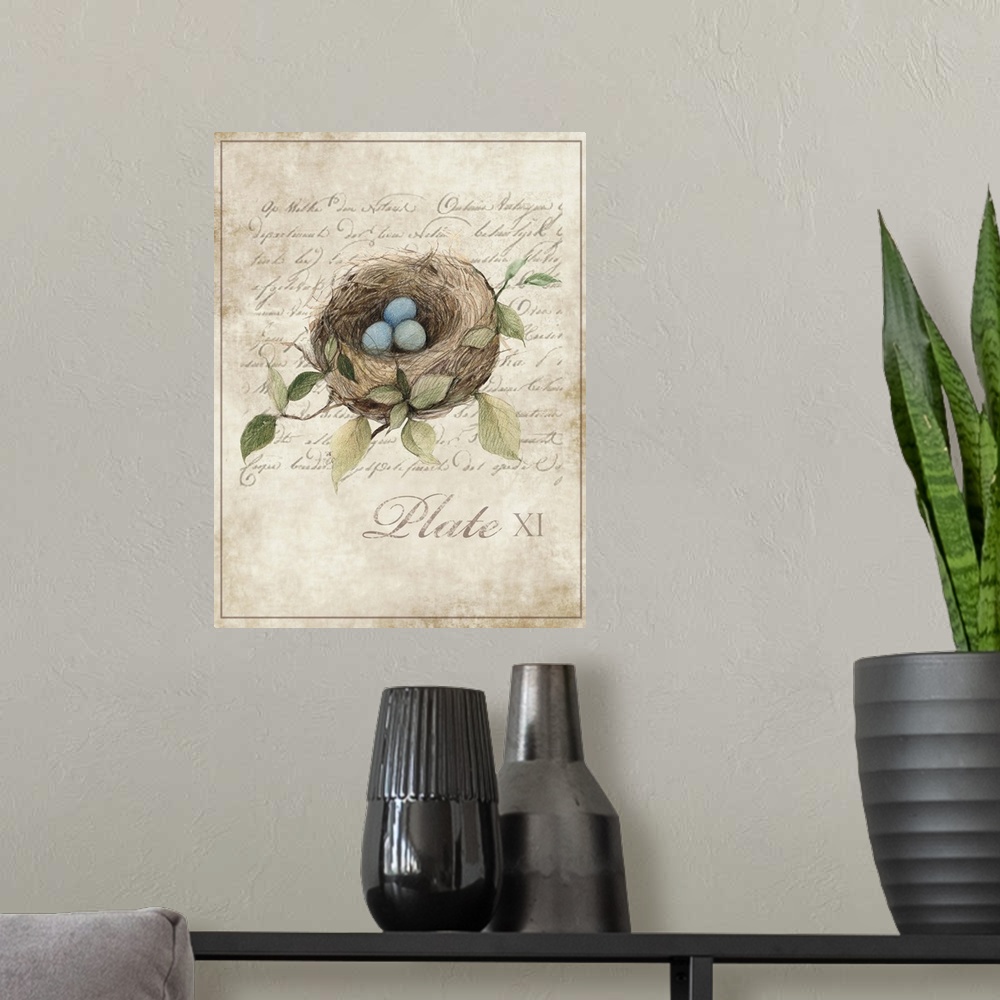 A modern room featuring Botanical parchment study of bird nest adds elegant, nature-inspired touch to any room.