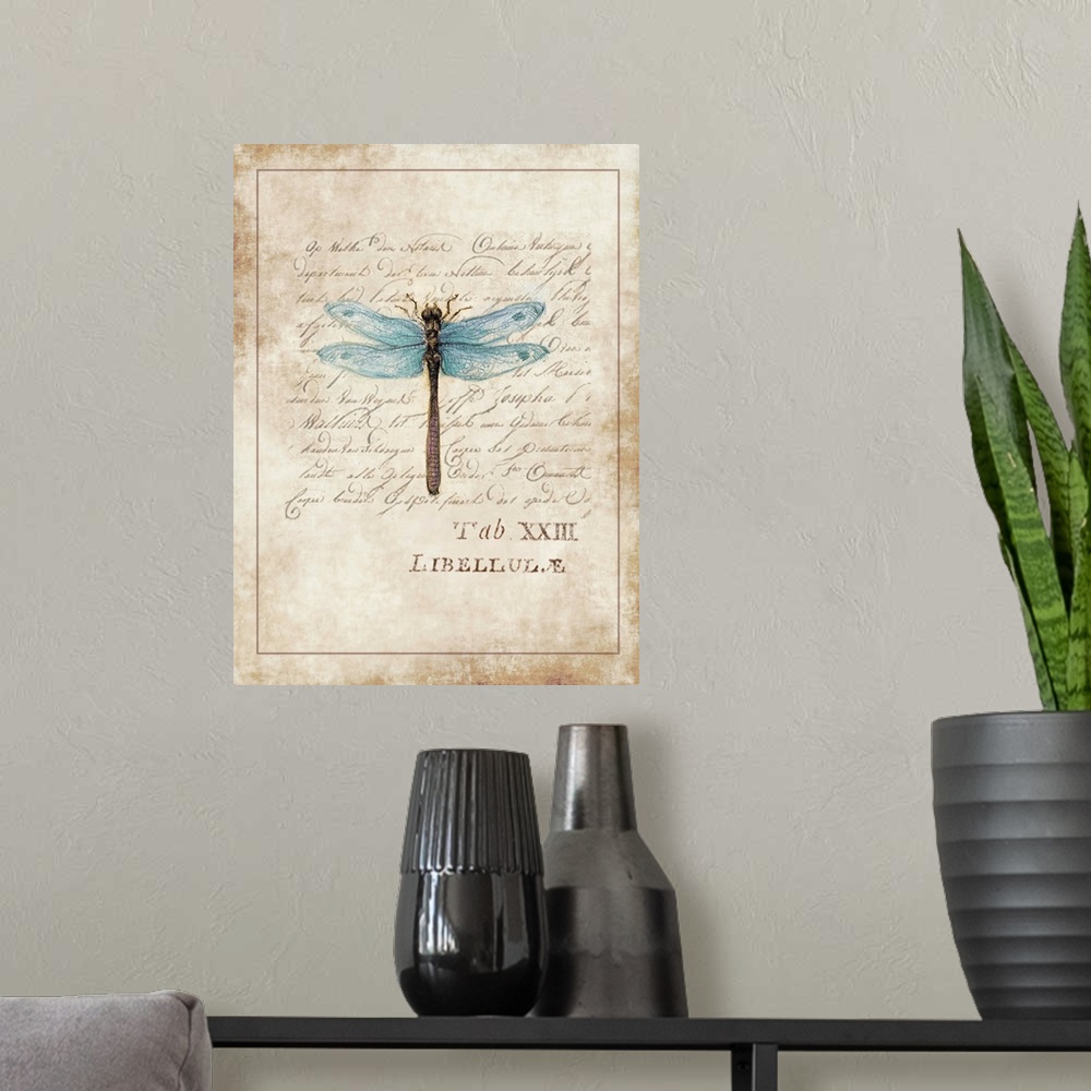 A modern room featuring Botanical parchment study of dragonfly adds elegant, nature-inspired touch to any room.